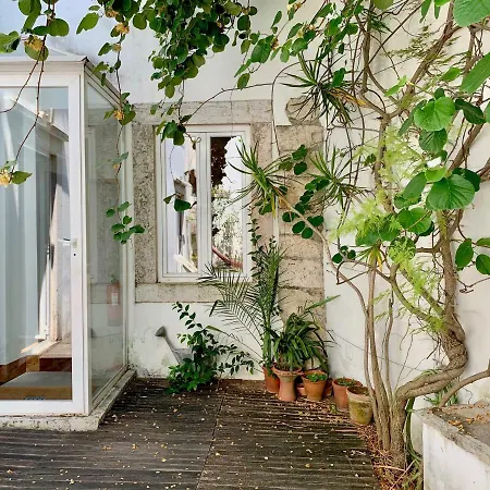 Our In - Lisbon